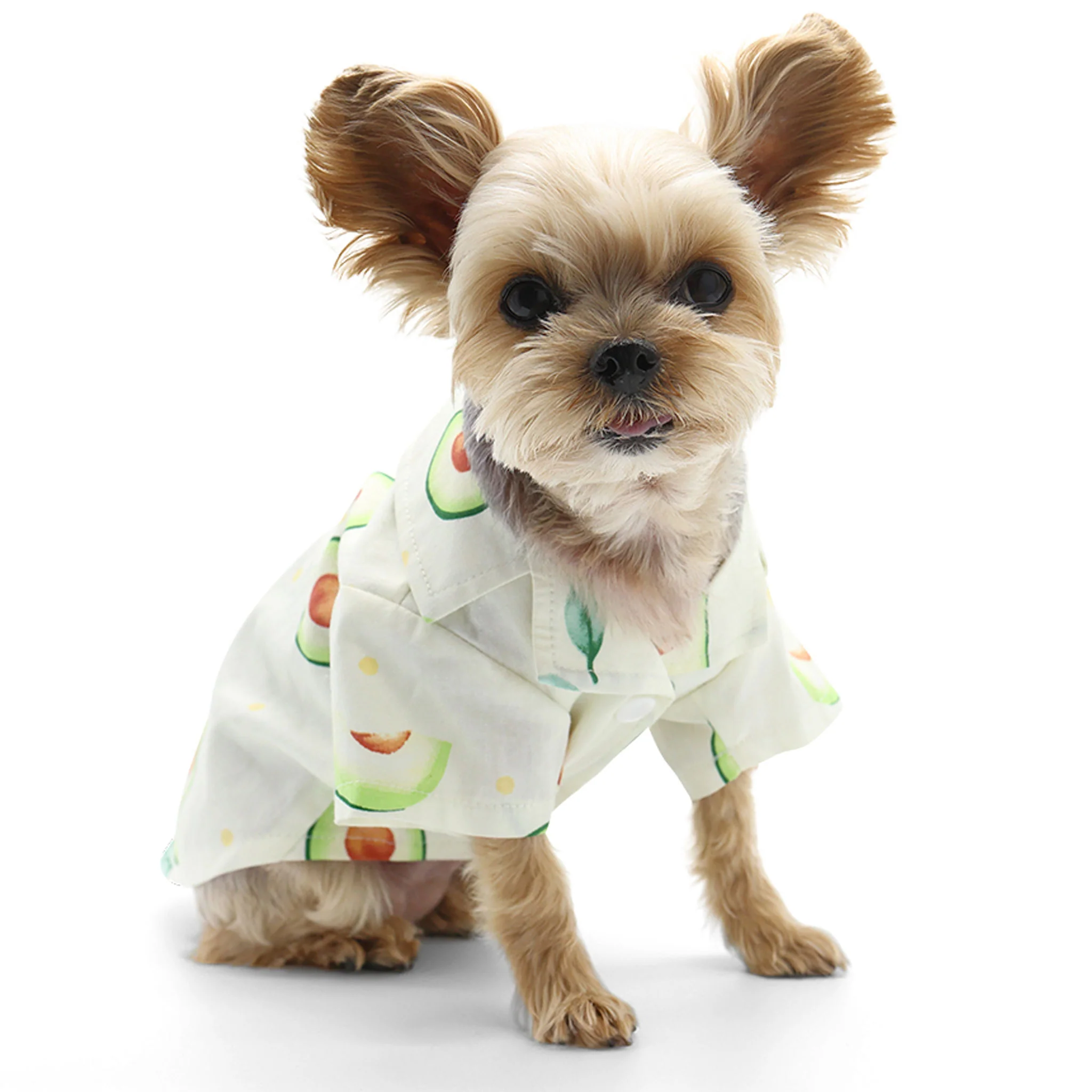 Dogo Pet Fashions Avocado Dog Shirt - Image 3