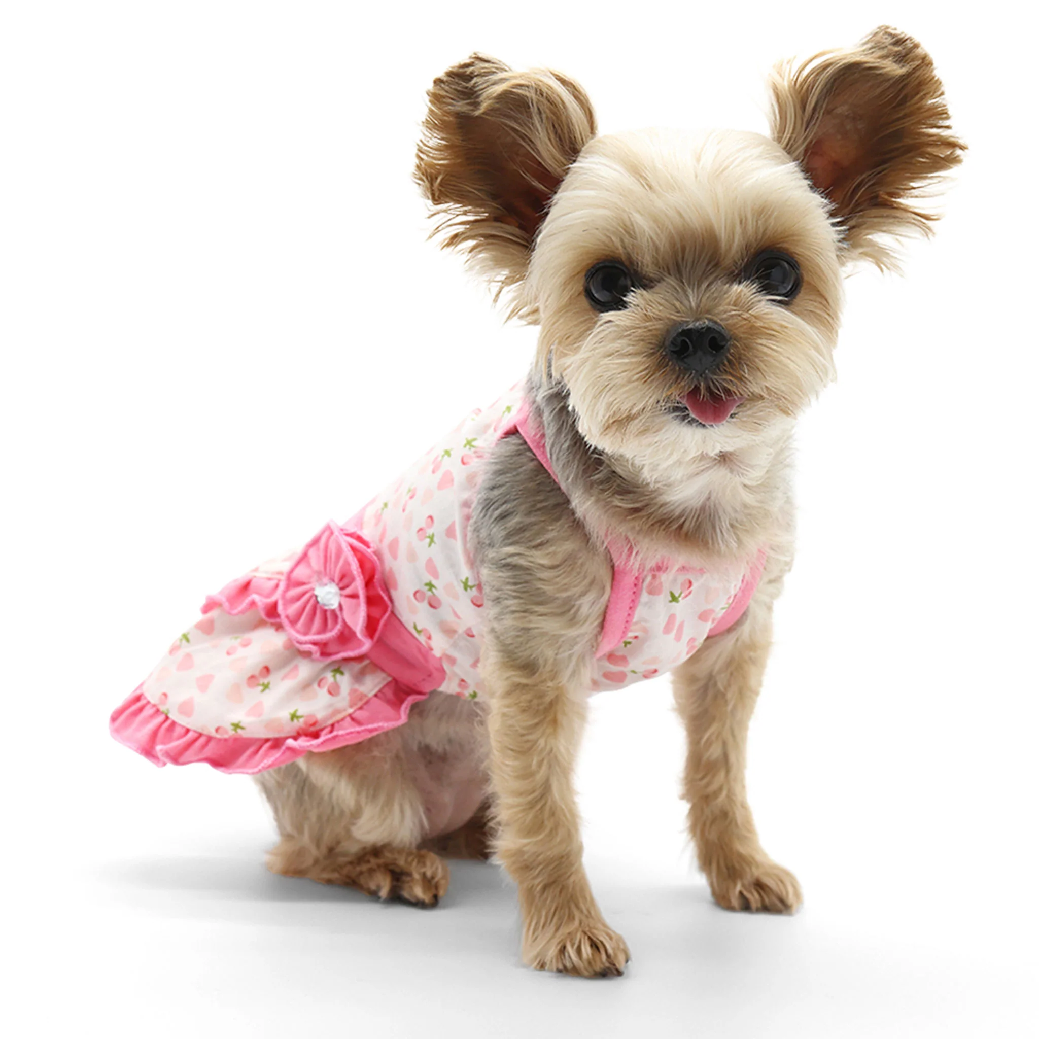 Dogo Pet Fashions Cherish Heart Dog Dress - Image 3