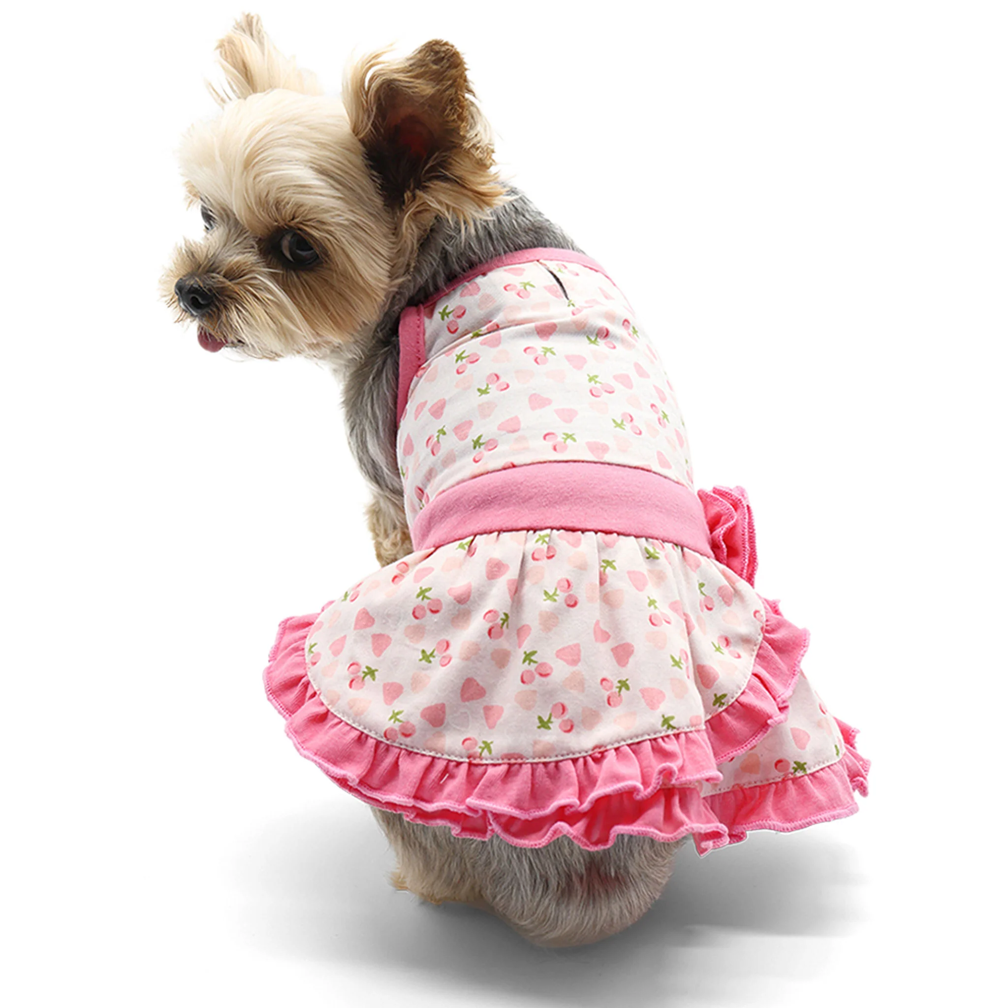 Dogo Pet Fashions Cherish Heart Dog Dress - Image 4