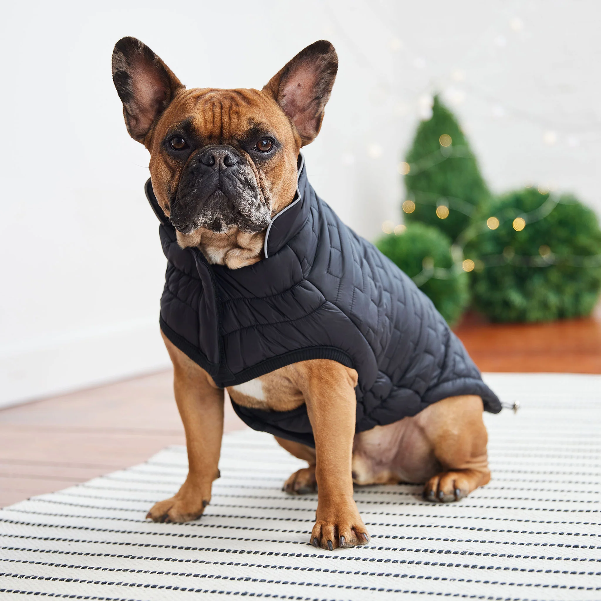 GF Pet Reversible Chalet Jacket - Black - Image 4