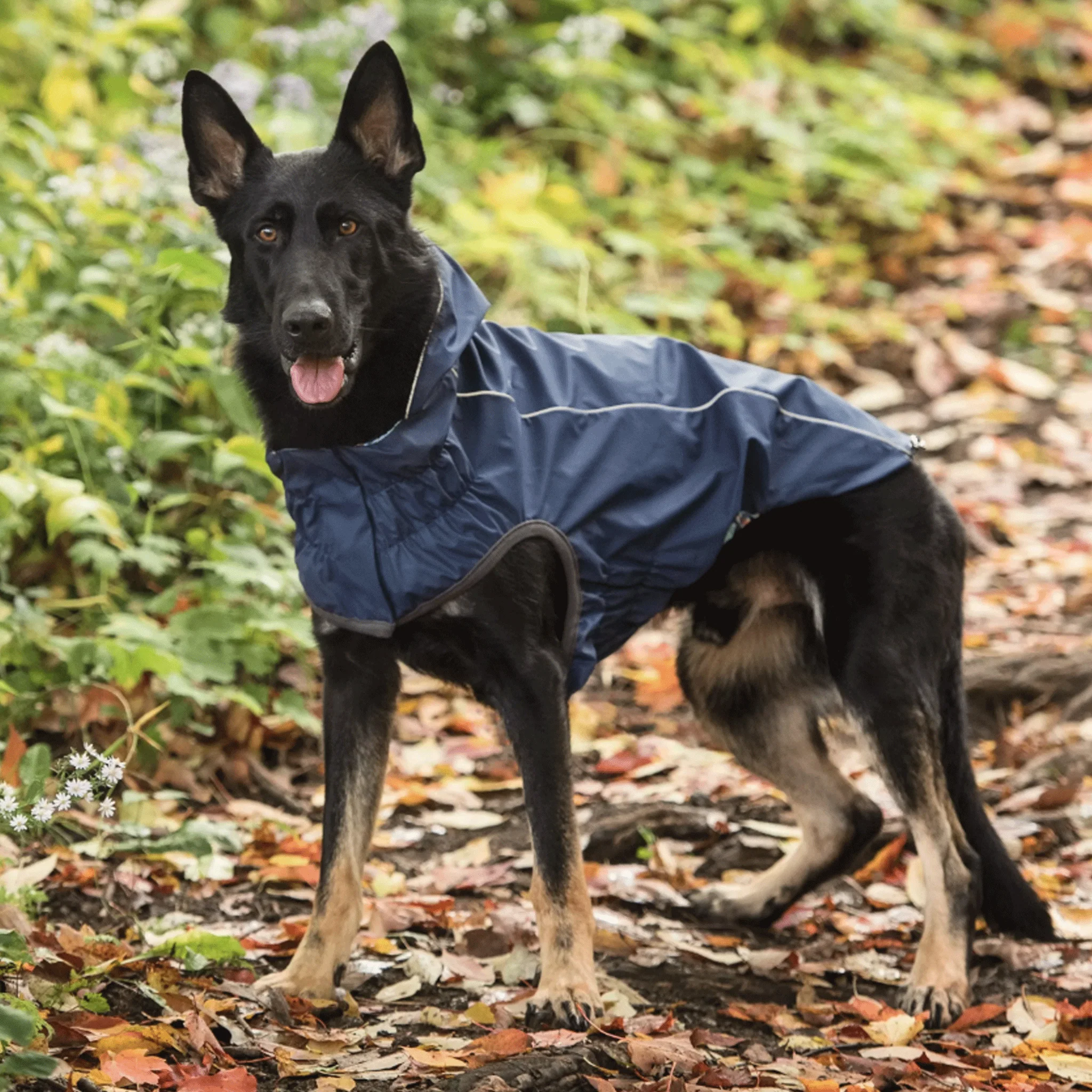GF Pet Reversible Navy Dog Rain Jacket - Image 4