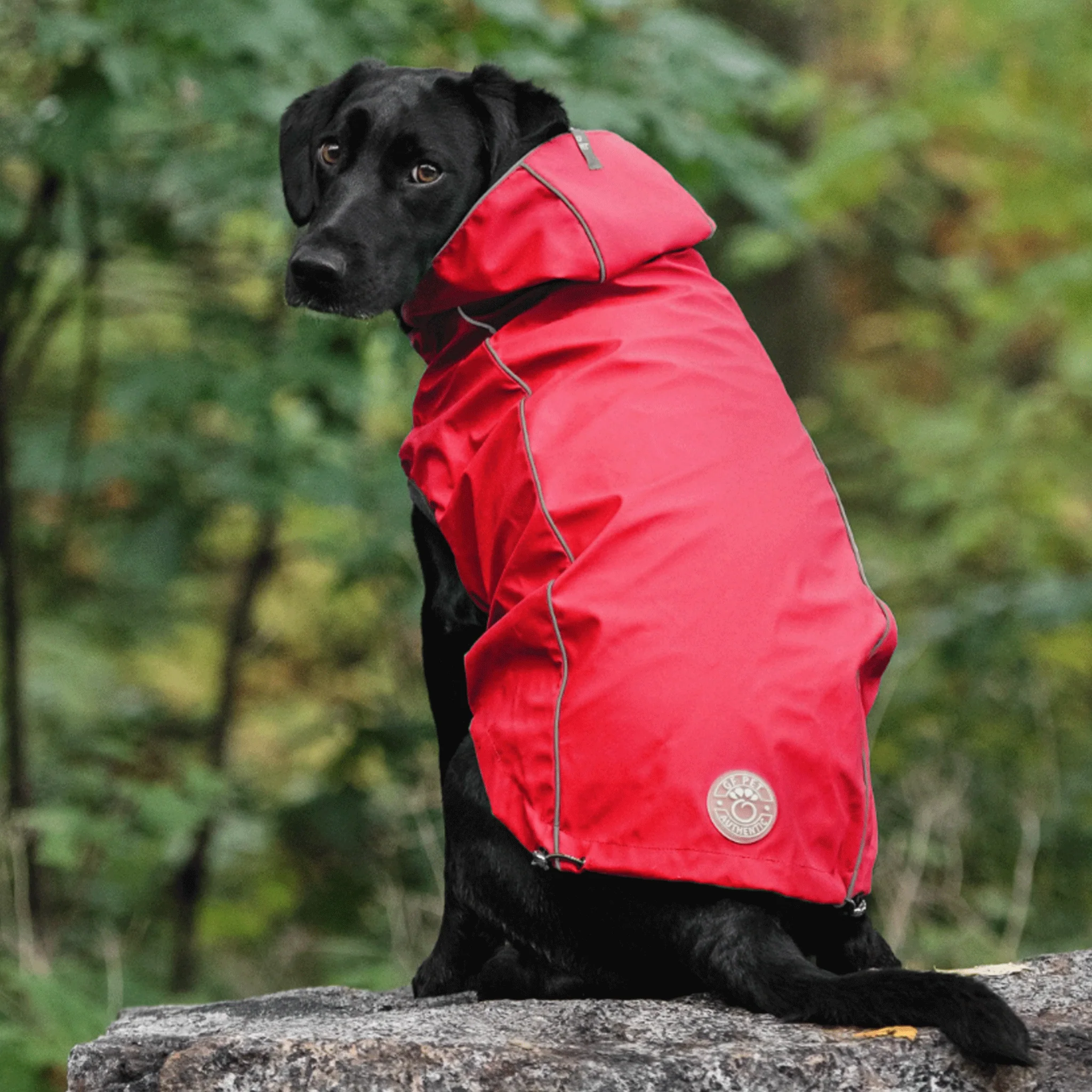 GF Pet Reversible Red Dog Rain Jacket - Image 4
