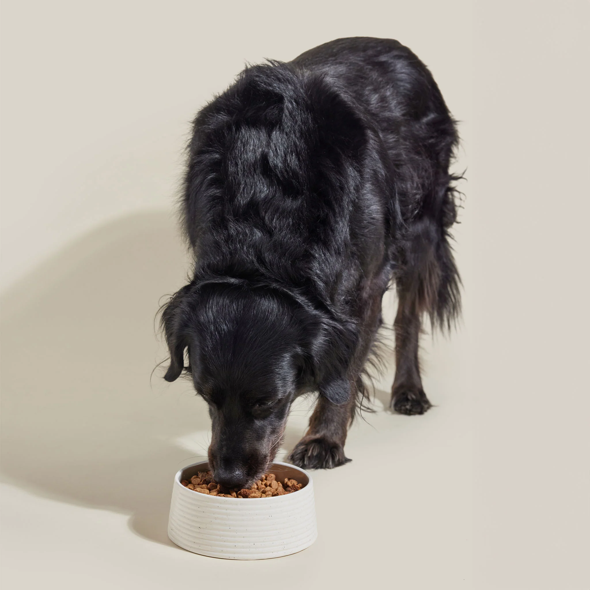 Open Farm Epic Blend Beef & Superfood Recipe - Image 5