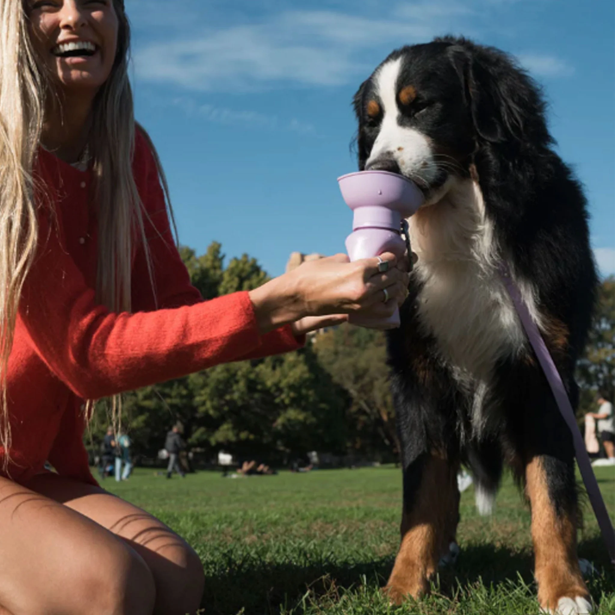 Springer Flip Travel Bottle Lilac Dog Travel - Image 3