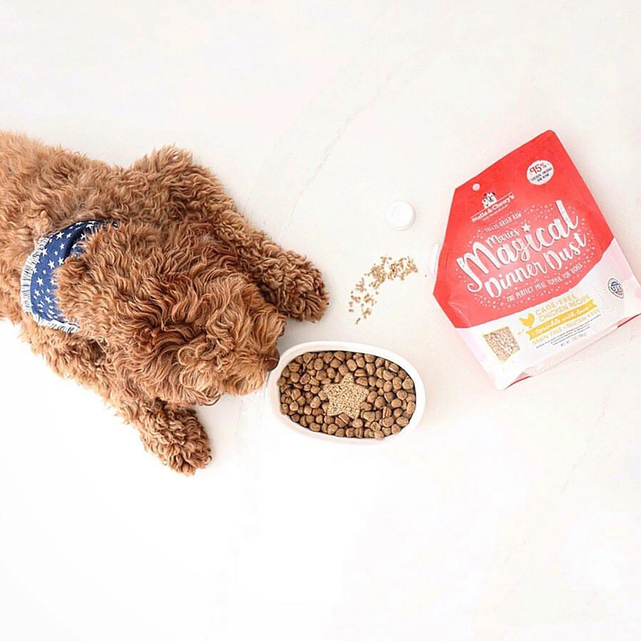 Stella & Chewy's Dinner Dust Beef Dog Food - Image 3