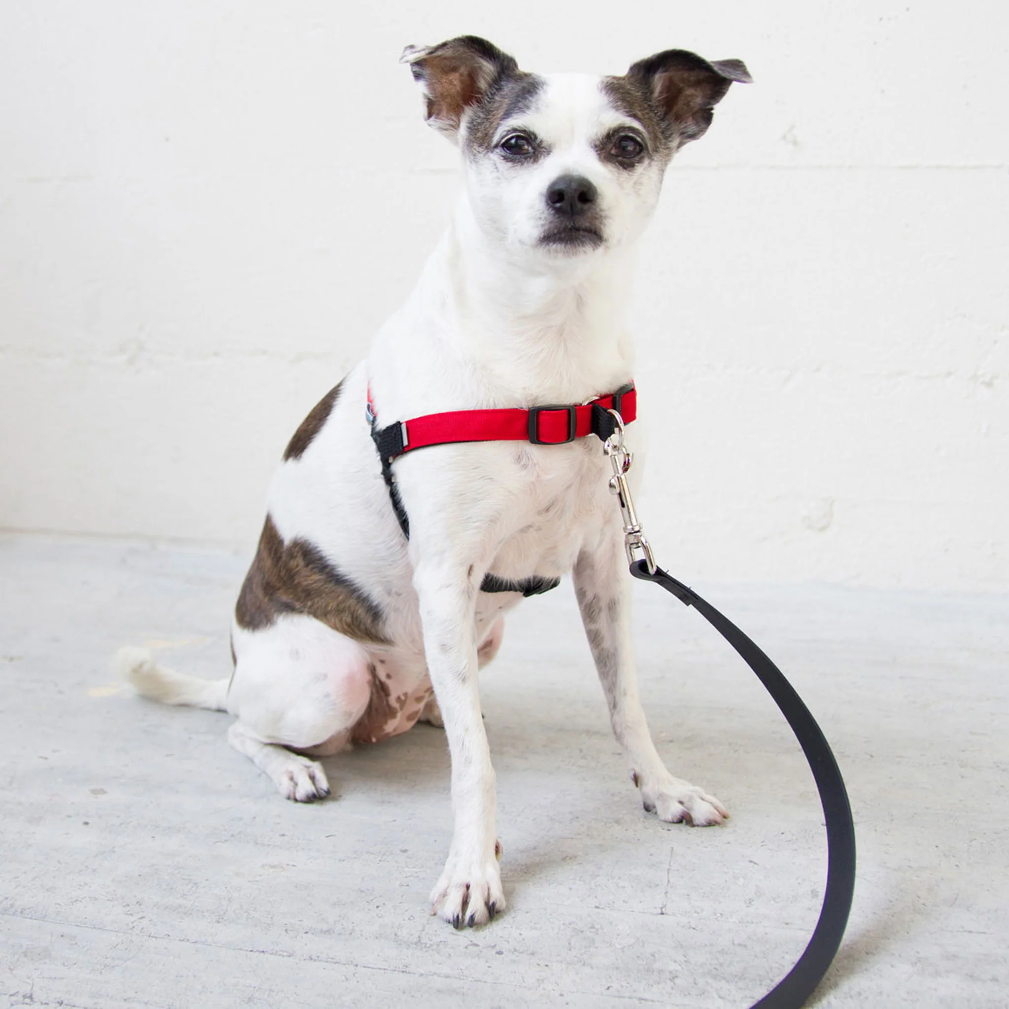 Wildebeest Linden Harness - Red - Image 3