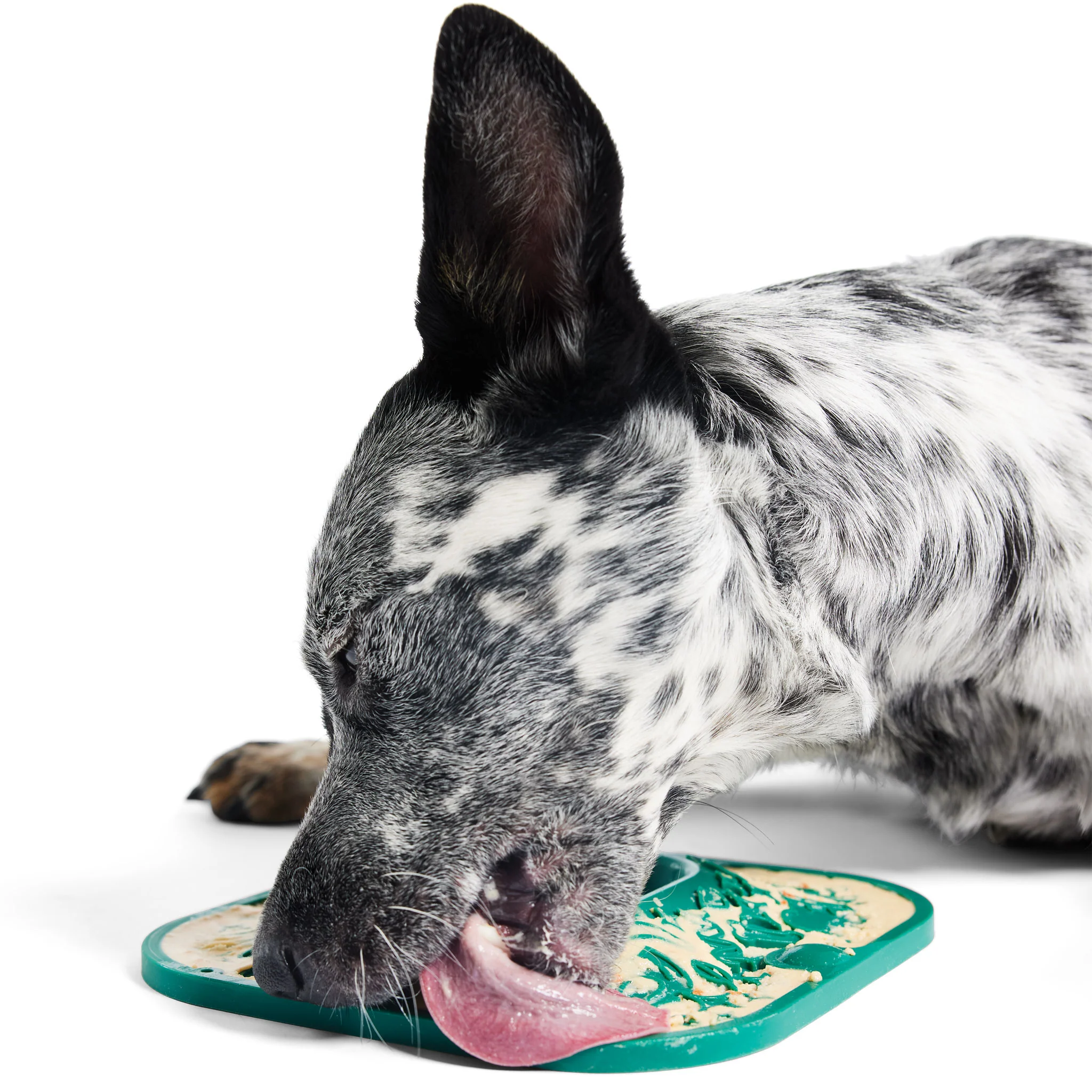 Woof LickMat - Green - Image 3