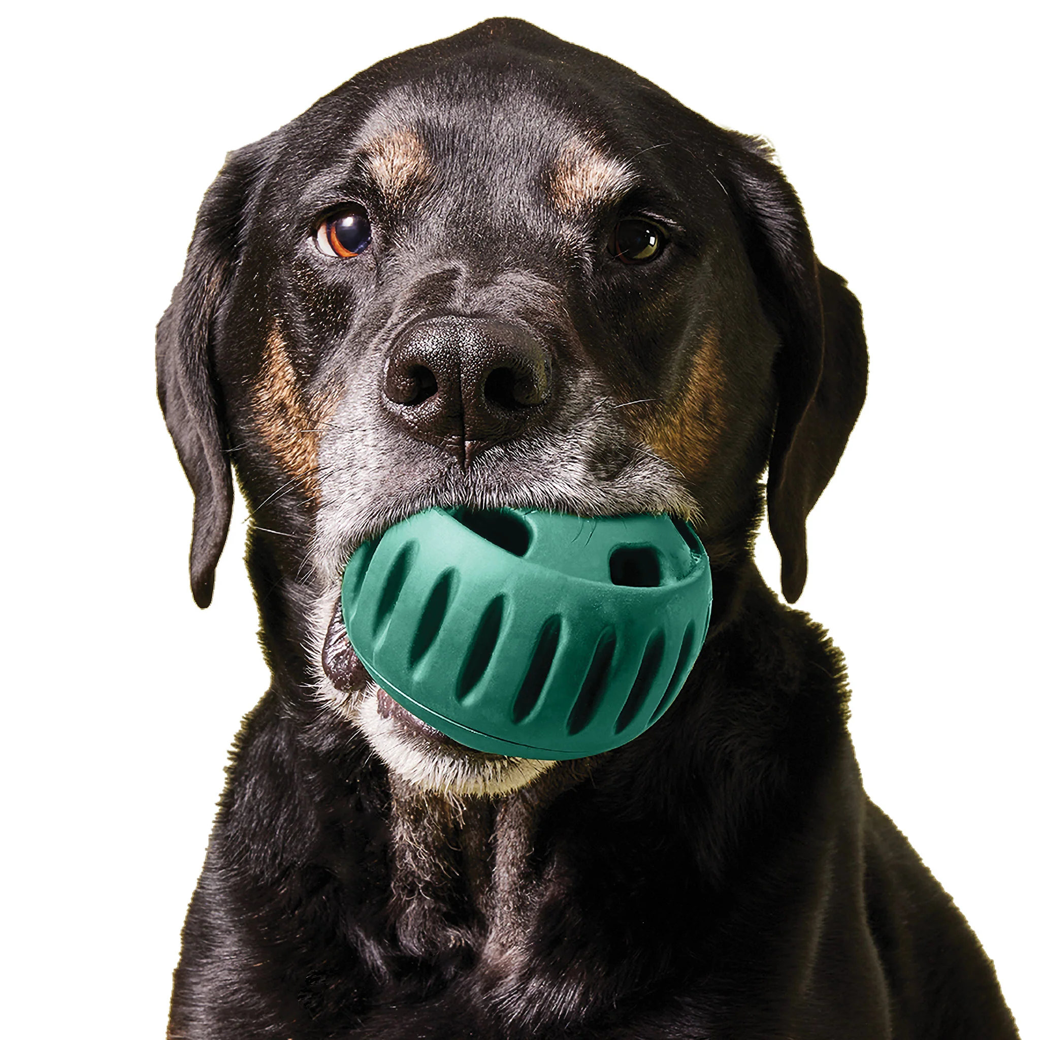 Woof Pupsicle - Green - Image 6